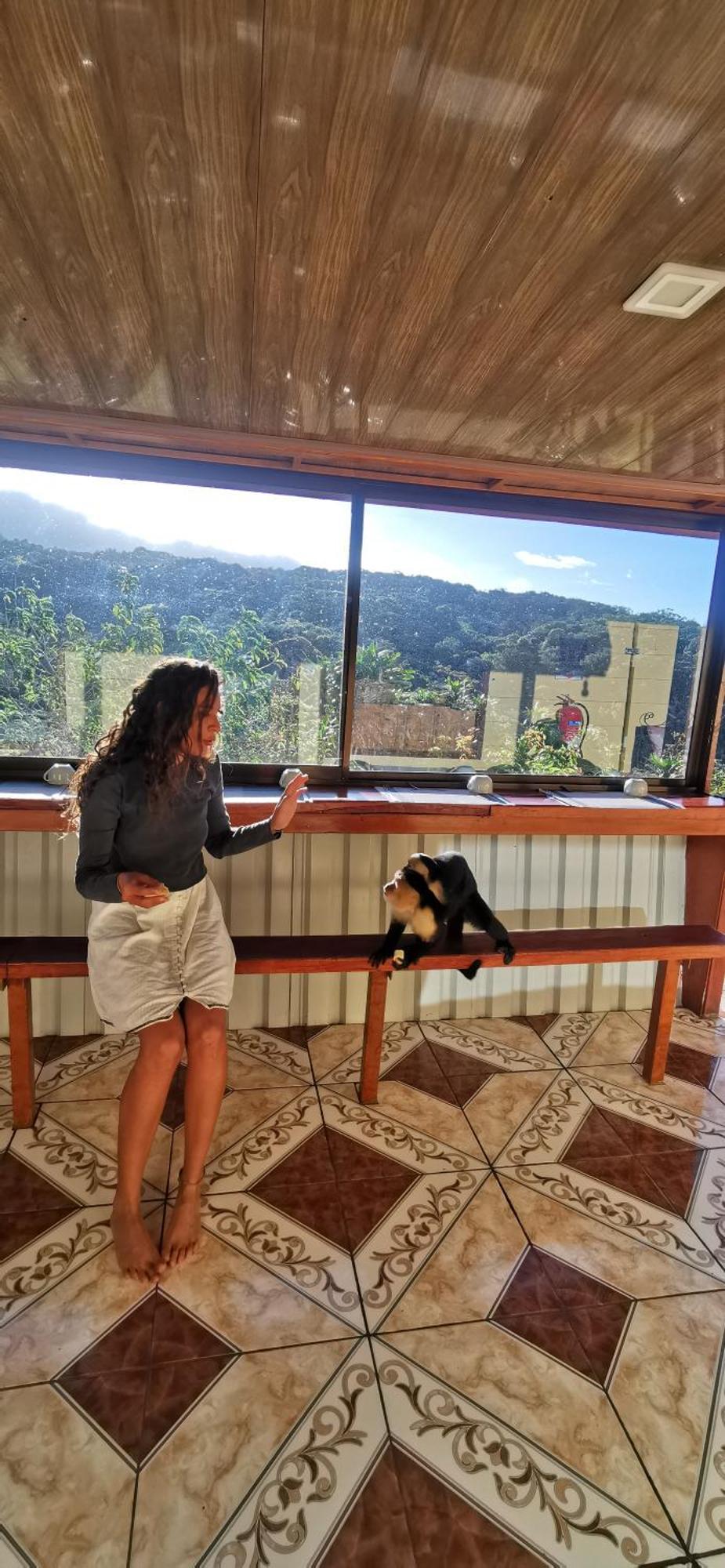 Mora'S Place B&B Monteverde Εξωτερικό φωτογραφία