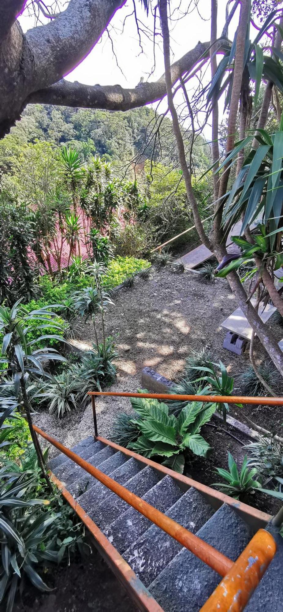 Mora'S Place B&B Monteverde Εξωτερικό φωτογραφία