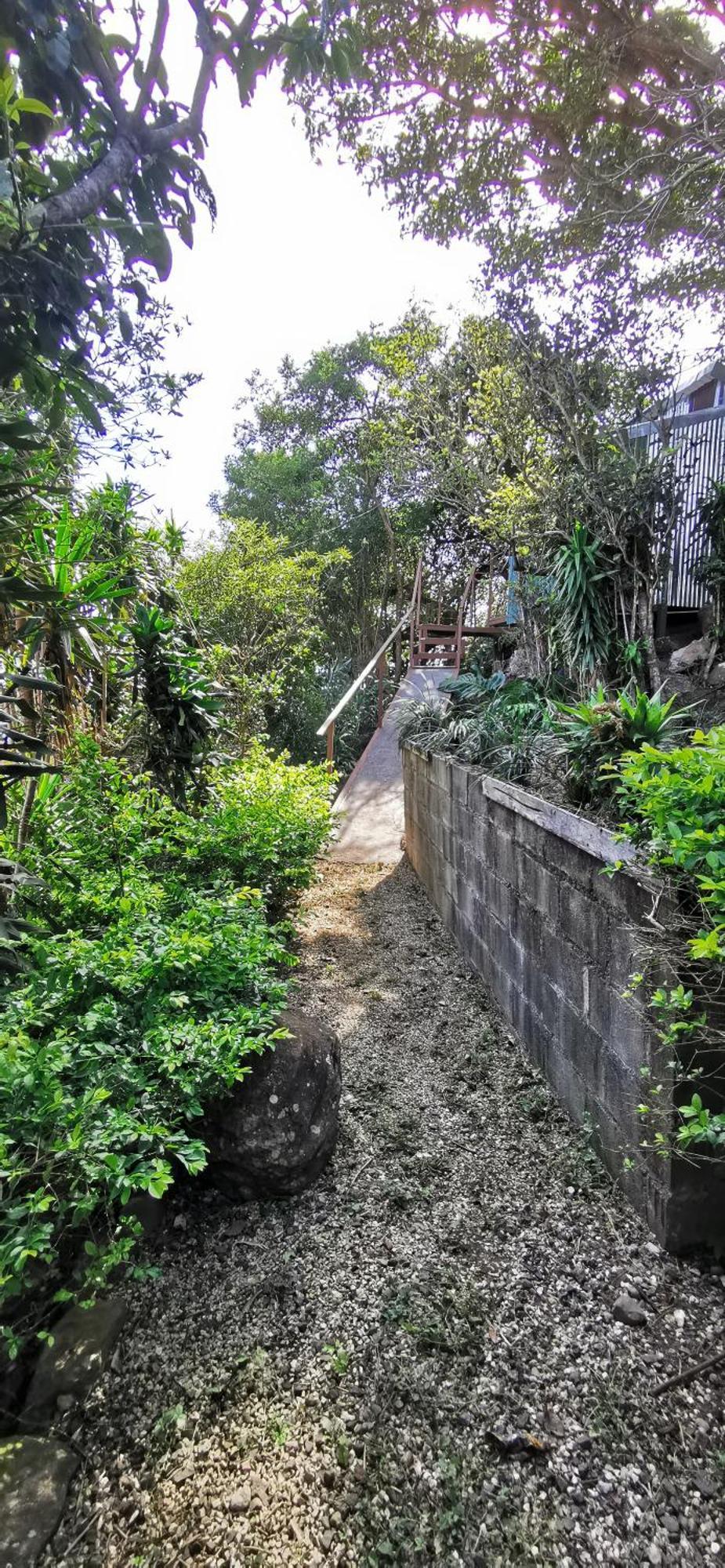 Mora'S Place B&B Monteverde Εξωτερικό φωτογραφία