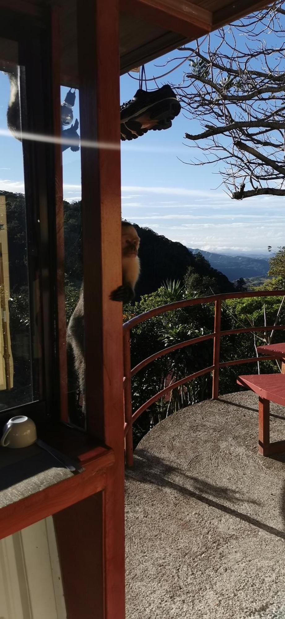 Mora'S Place B&B Monteverde Εξωτερικό φωτογραφία