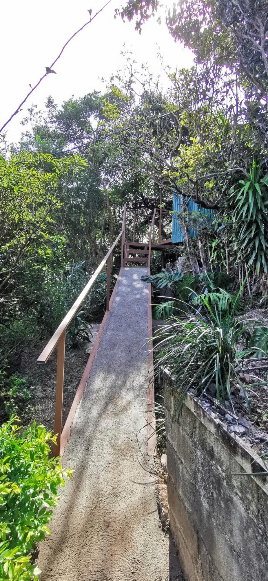 Mora'S Place B&B Monteverde Εξωτερικό φωτογραφία