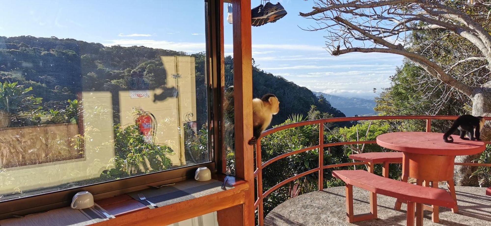 Mora'S Place B&B Monteverde Εξωτερικό φωτογραφία