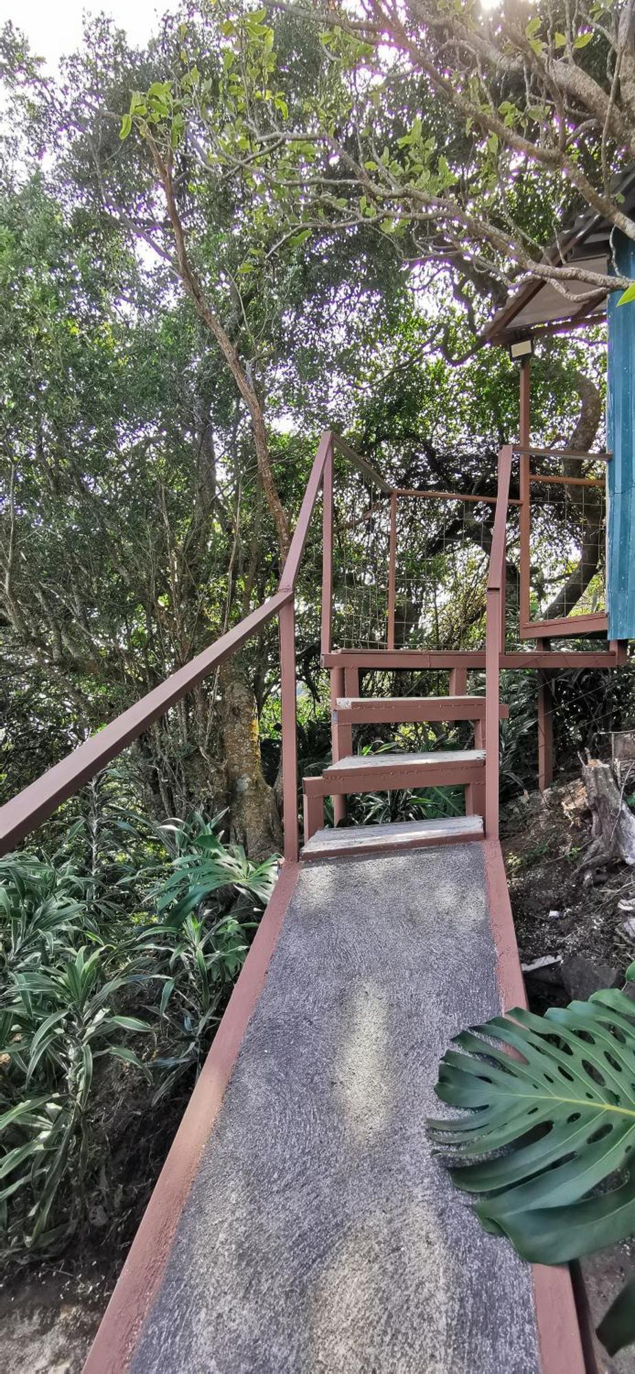 Mora'S Place B&B Monteverde Εξωτερικό φωτογραφία