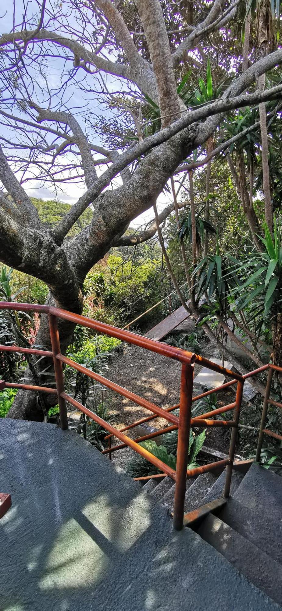 Mora'S Place B&B Monteverde Εξωτερικό φωτογραφία