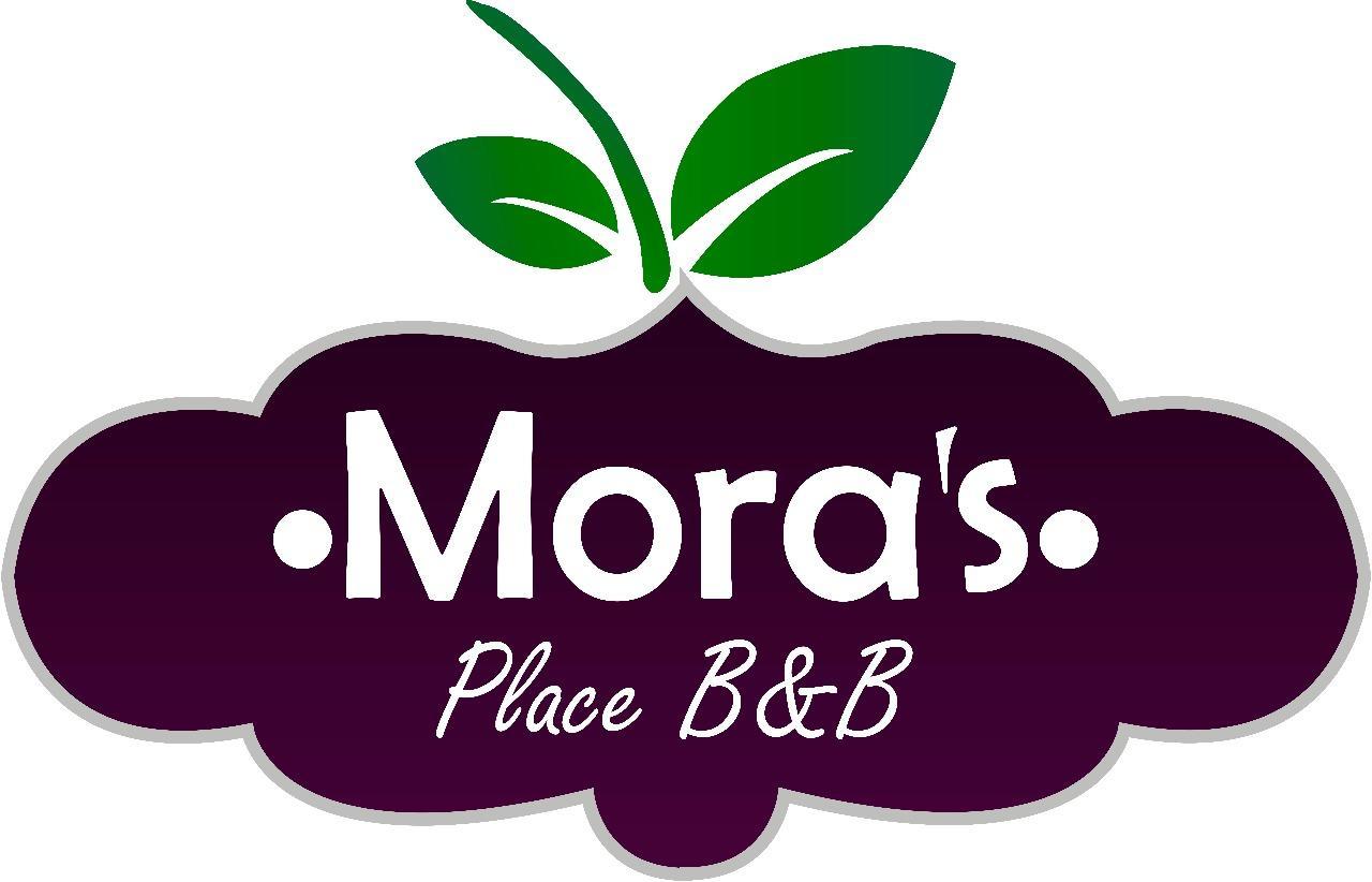 Mora'S Place B&B Monteverde Εξωτερικό φωτογραφία